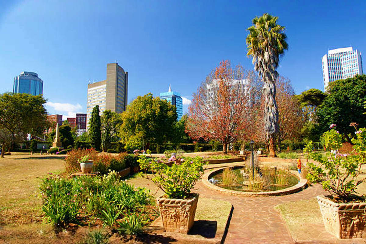 garden