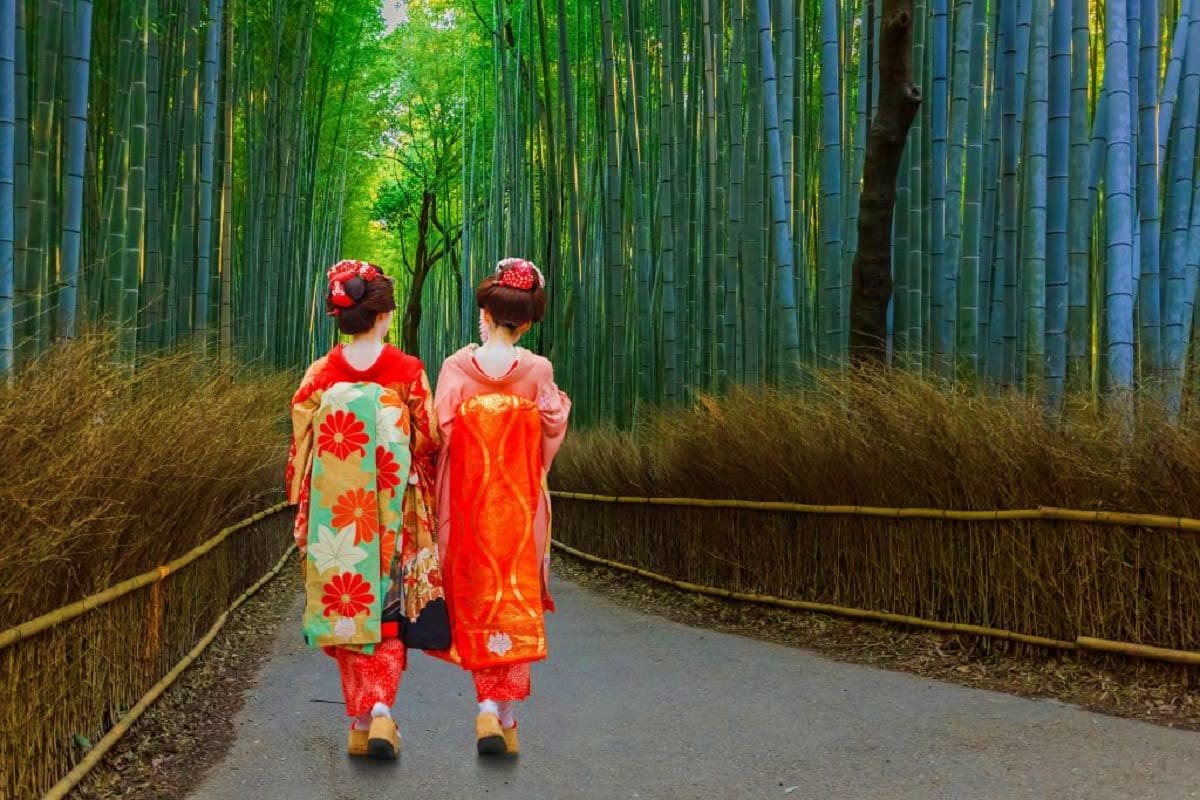 Two women in traditional Japanese kimonos walking through a tall bamboo forest grove on a paved pathway.