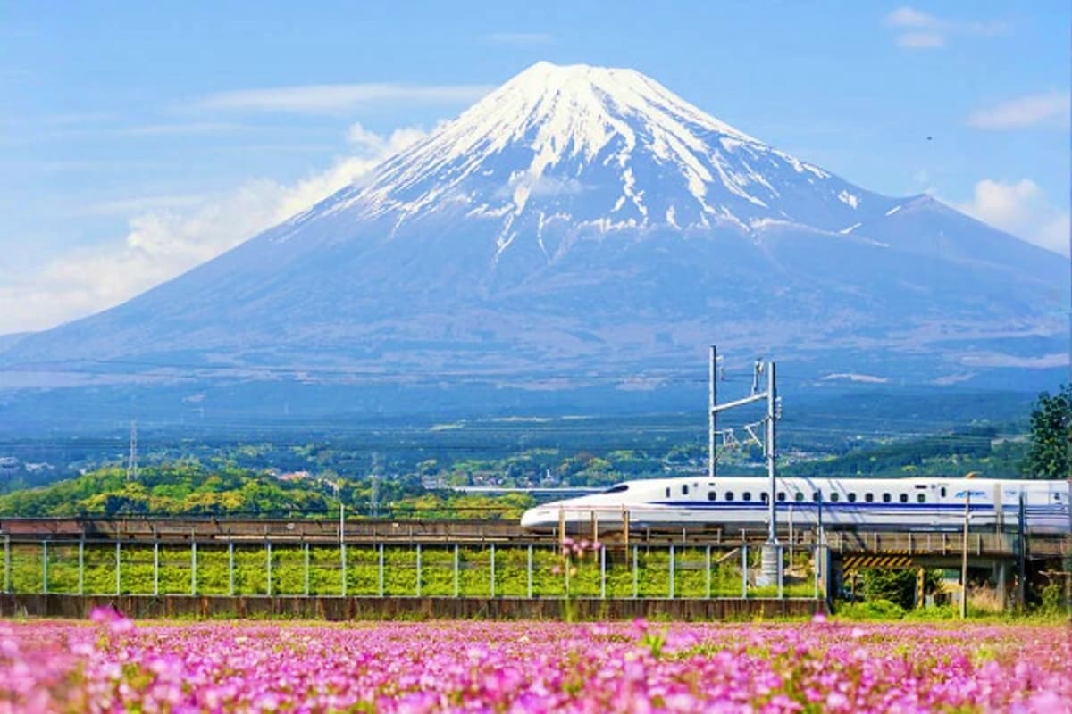 Snow-capped Mount Fuji with bullet train passing through pink flower fields in Japan