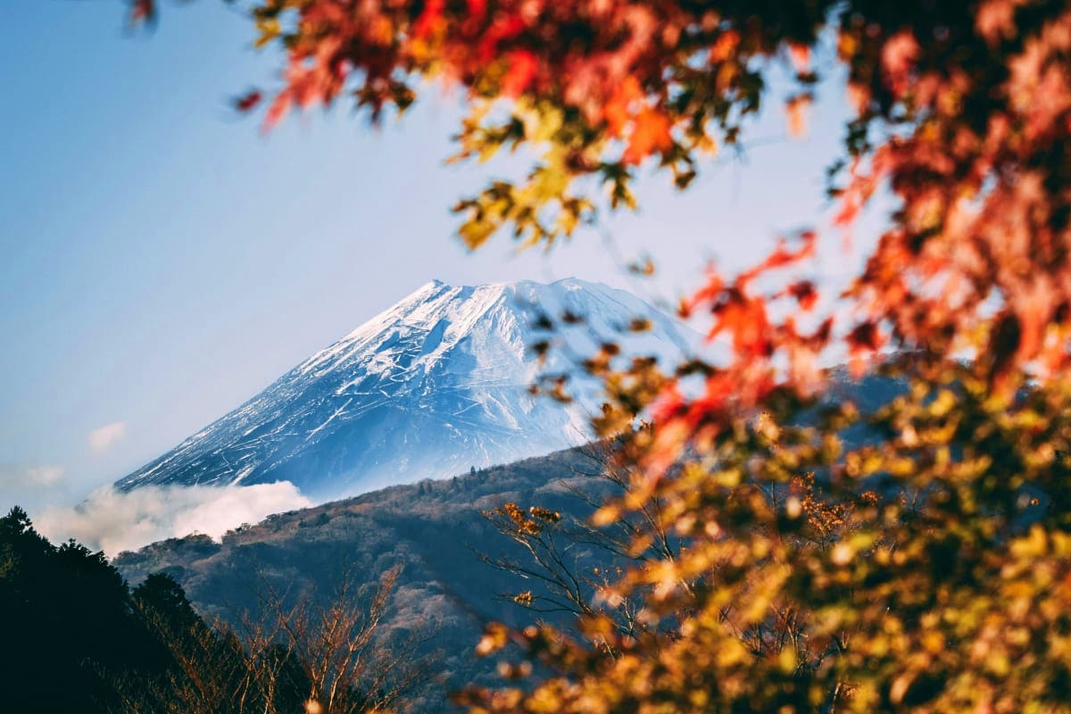 Snow-capped Mount Fuji framed by autumn foliage with orange and yellow leaves in foreground, clear blue sky visible