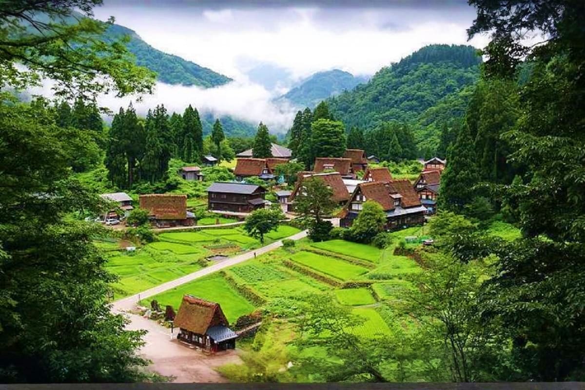Traditional Japanese village with thatched-roof farmhouses, rice paddies, and forested mountains with mist in background
