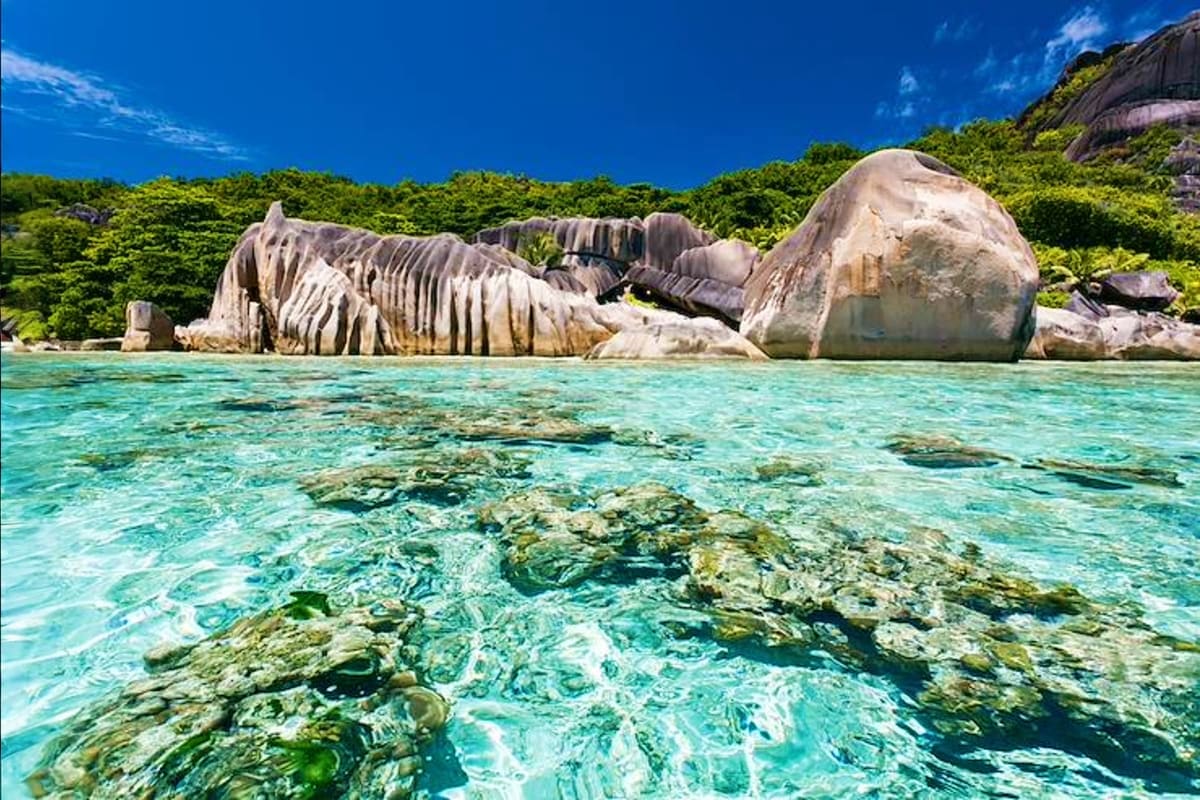 Granite boulders and turquoise tropical beach in Seychelles with lush green vegetation and clear shallow water