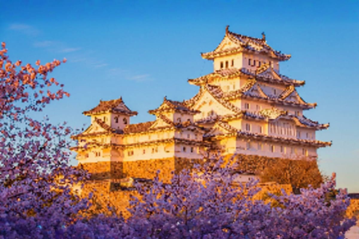 Traditional Japanese castle with golden roofs and multiple tiers surrounded by blooming cherry blossom trees under clear blue