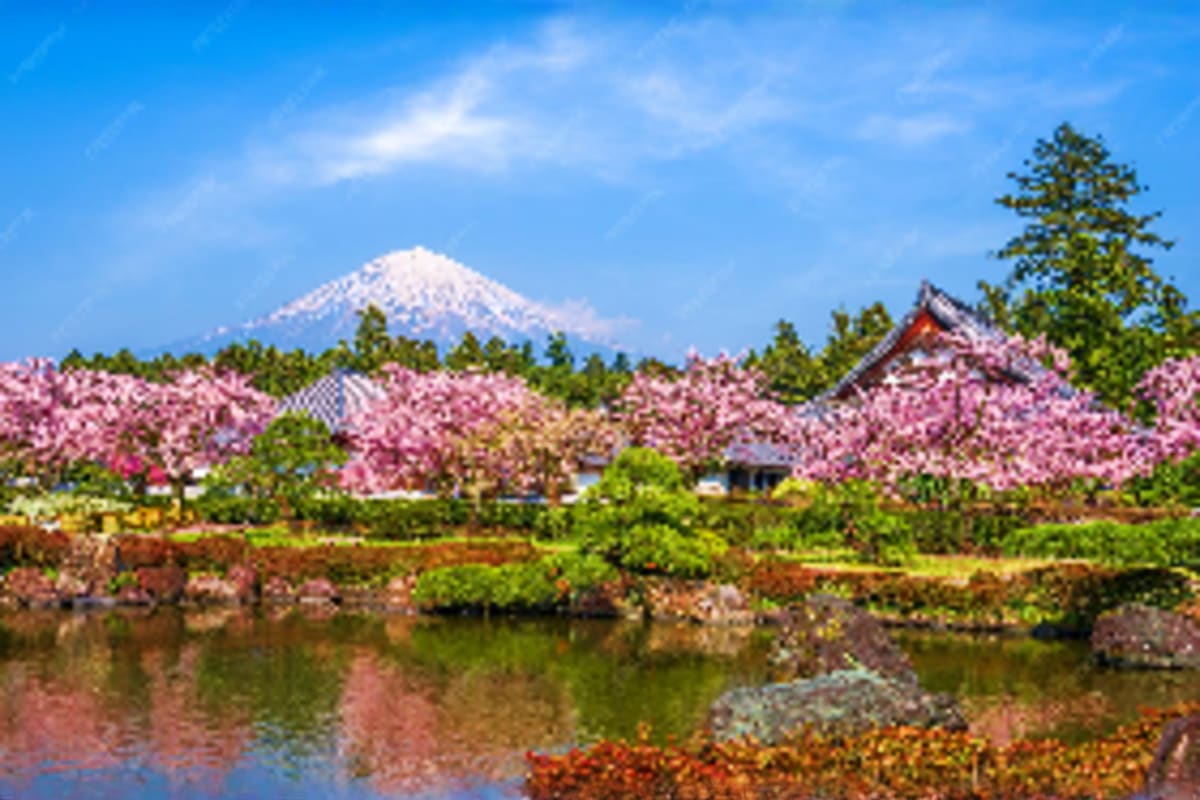 Snow-capped Mount Fuji with cherry blossoms in bloom, traditional temple, and reflecting pond in spring landscape