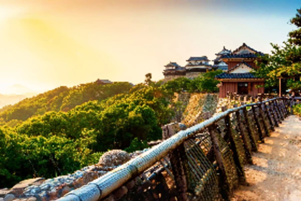 Traditional Chinese temple buildings with curved roofs on mountainside overlooking forested valley at sunset