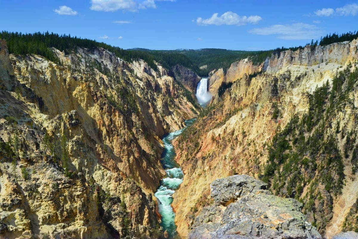 Grand Canyon of the Yellowstone with Lower Falls cascading through colorful canyon walls, coniferous forest, and turquoise ri