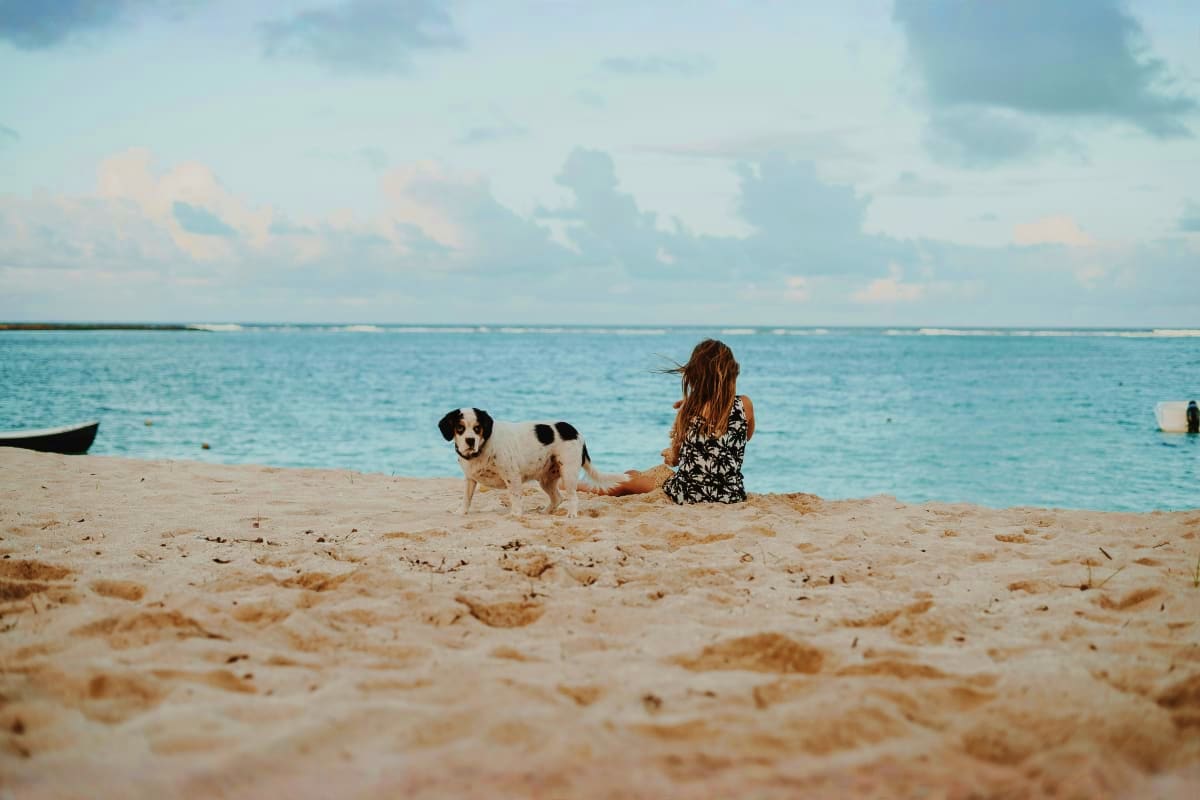 Mauritius Royal Escape Woman and black and white dog sitting on sandy beach with turquoise ocean and boats in background, Mauritius