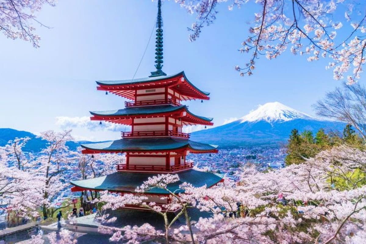 Red and green pagoda surrounded by blooming cherry blossoms with snow-capped Mount Fuji in the background