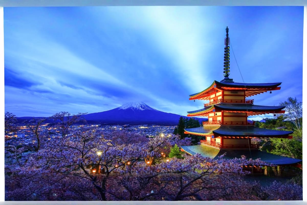 Illuminated Japanese pagoda overlooking cherry blossom trees with Mount Fuji in the distance at twilight