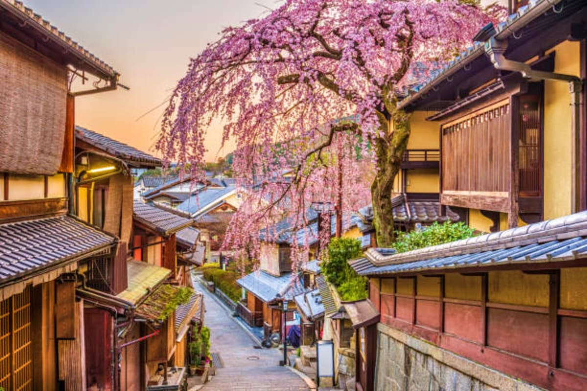 Historic wooden buildings line a narrow stone street in Kyoto at sunset, with a blooming purple wisteria tree overhead