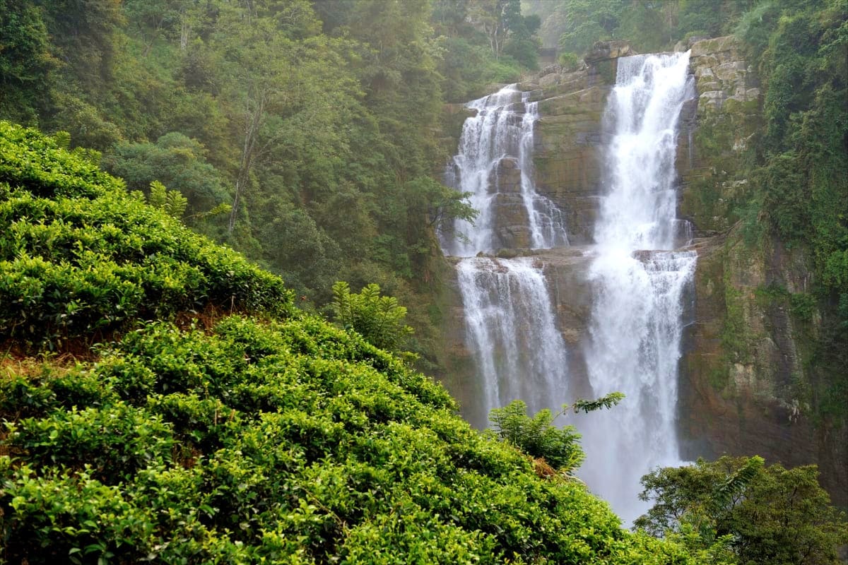 Cascading waterfall flowing down rocky cliffs surrounded by dense tropical forest and lush green vegetation in Kerala highlan