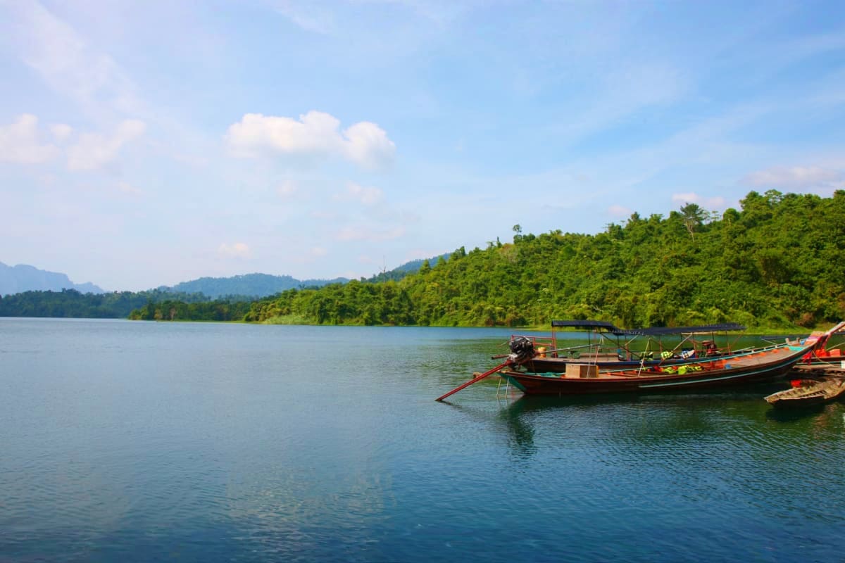 Traditional wooden longtail boats moored in calm turquoise waters with dense green forest and mountains in background under b