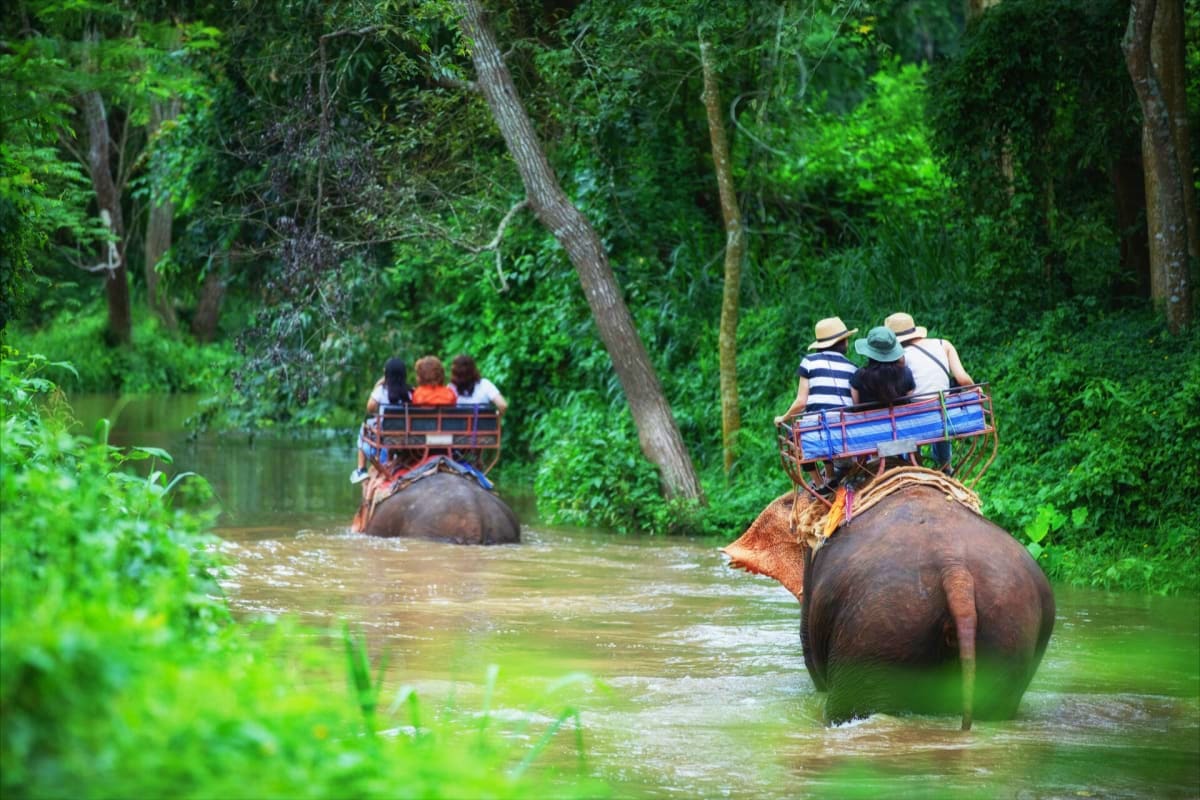 Tourists riding elephants through a lush tropical waterway surrounded by dense green vegetation in Kerala backwaters