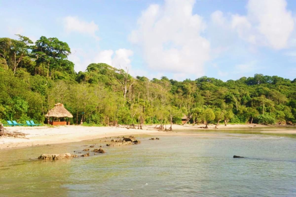 Quick Andaman Escape History Beaches and Island Tours Tropical beach with white sand, thatched-roof hut, dense jungle forest, and calm waters with rocks at Andaman island resort