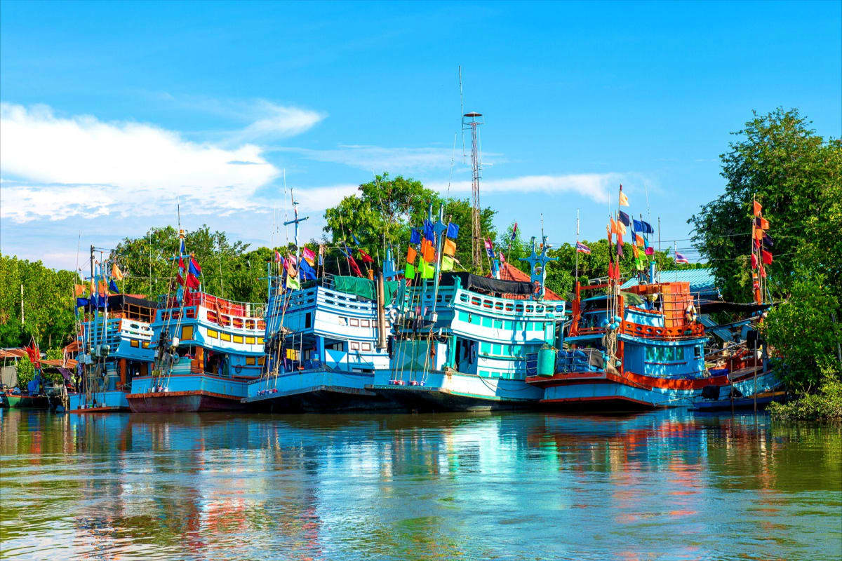 Colorful fishing boats with blue hulls and red trim docked in calm water under clear sky with green trees, Kochi backwaters