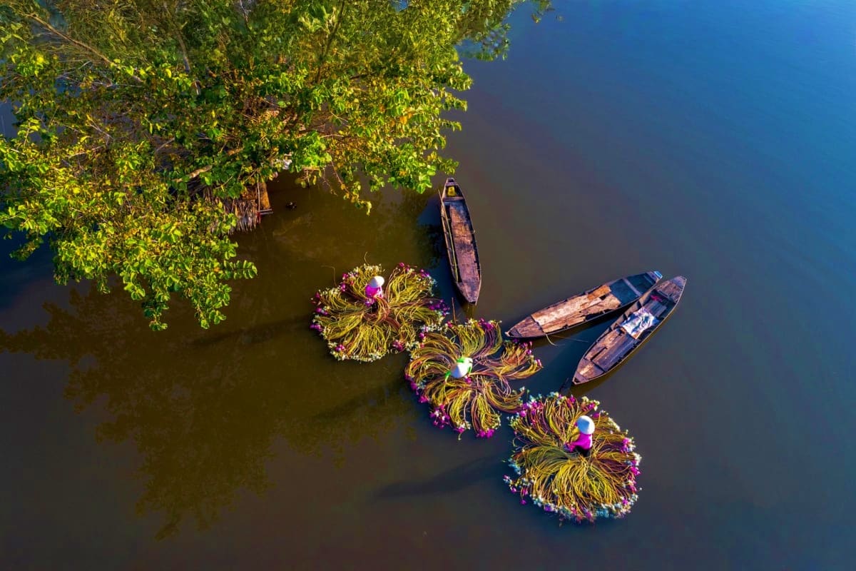 Vietnam Scenic Adventure for Friends Aerial view of traditional wooden boats moored near mangrove trees with colorful flower arrangements in Vietnam water