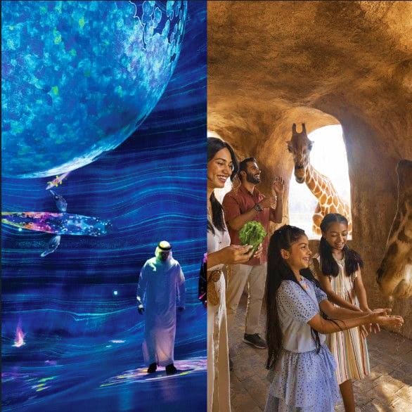 Split image: left shows visitor viewing glowing blue digital jellyfish display; right shows family feeding giraffe through st