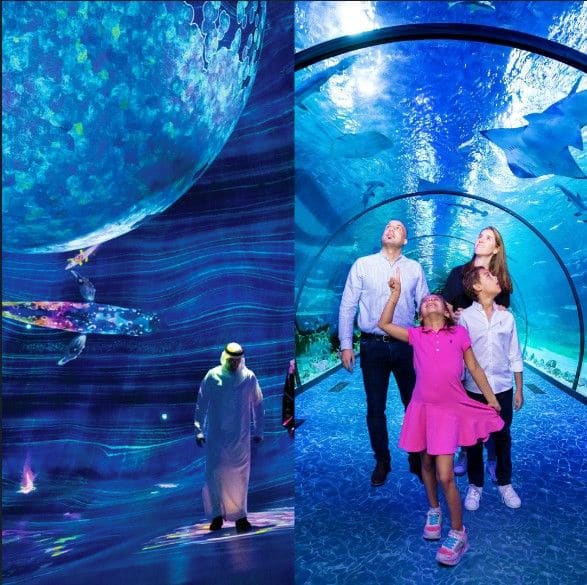 Family viewing immersive digital art projection at Teamlab Phenomena and walking through underwater tunnel at National Aquari