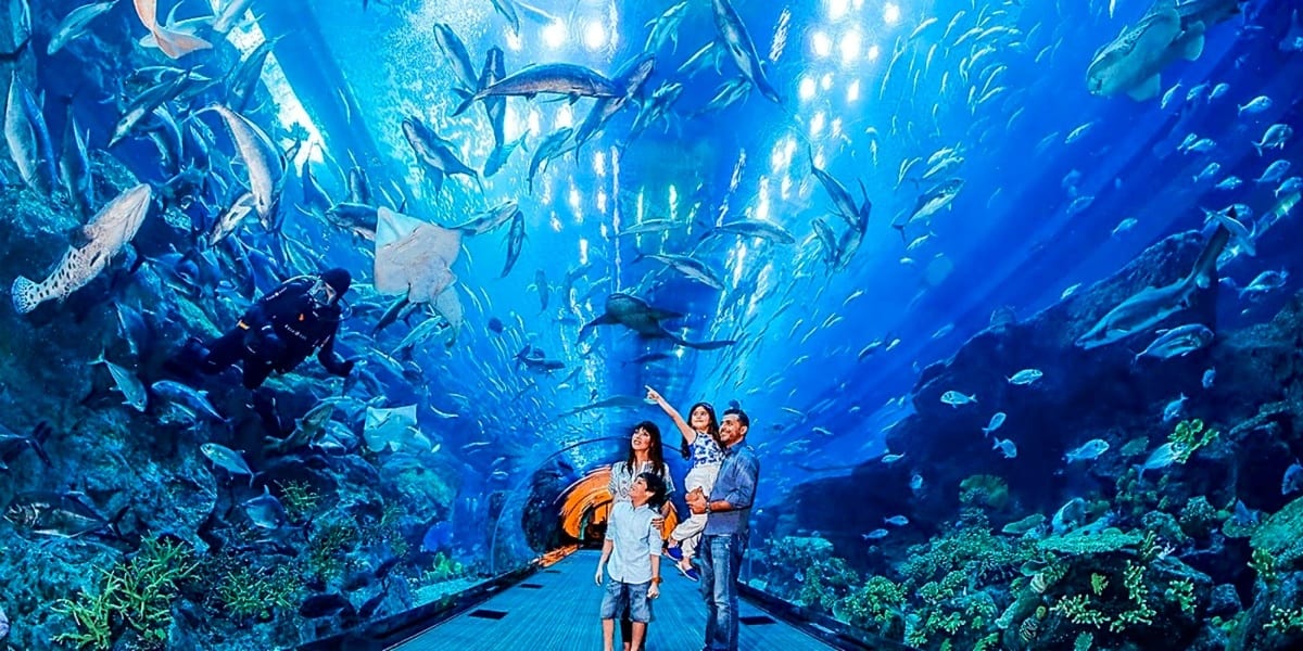 Family viewing marine life through underwater tunnel at Dubai Aquarium with sharks, rays, and schooling fish swimming overhea
