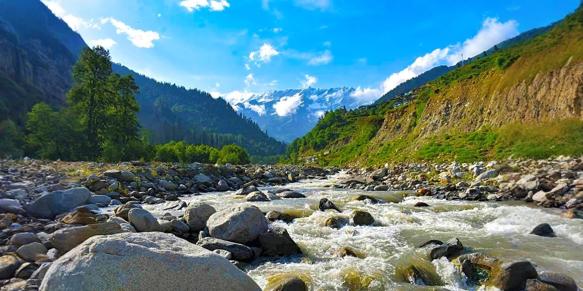 Rushing mountain river with boulders flowing through forested valley with snow-capped Himalayan peaks in background, Manali