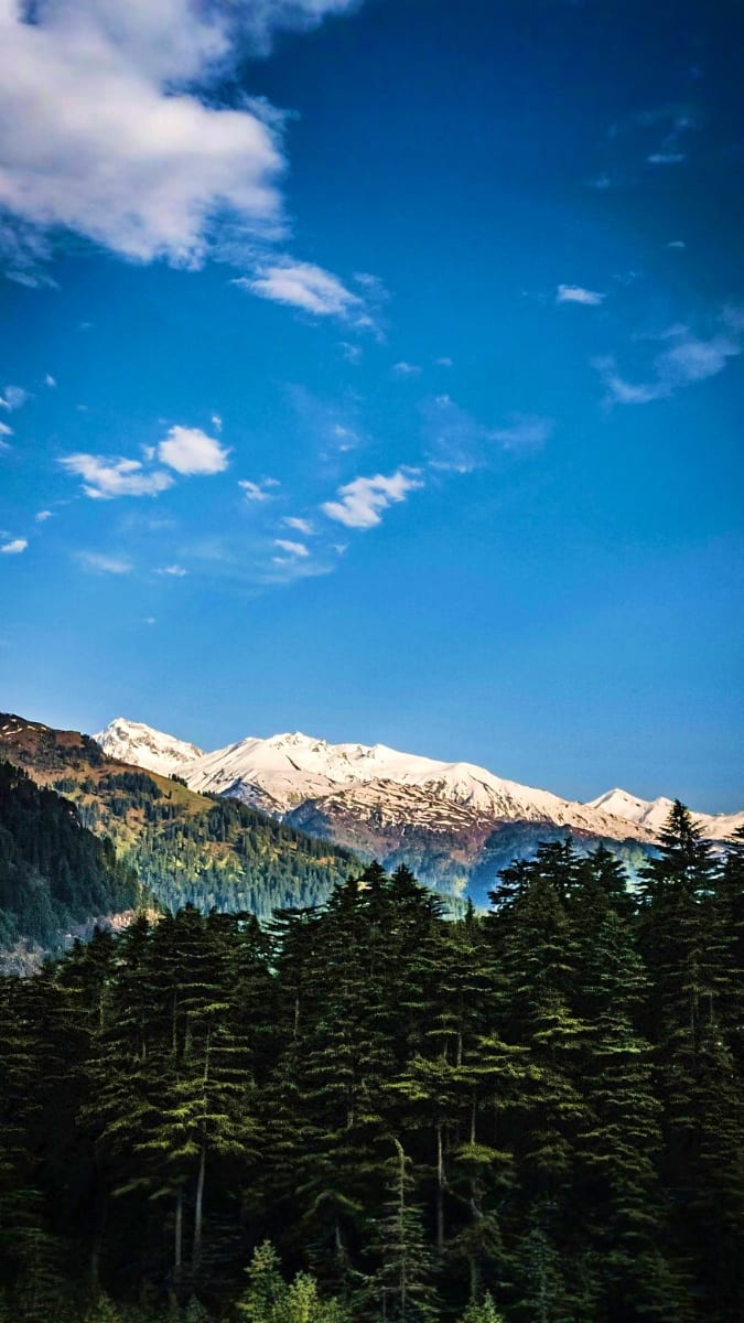 Snow-capped mountains with dense evergreen forest under clear blue sky in Manali, Himachal Pradesh