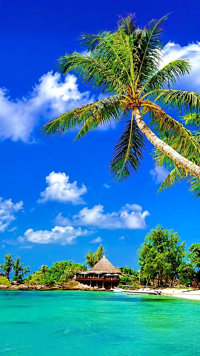 Palm tree leaning over turquoise water with traditional thatched-roof bungalow and tropical beach in Port Blair, Andaman Isla