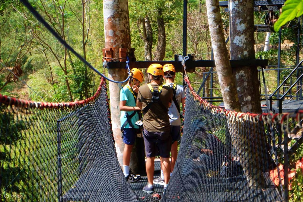 Group of tourists wearing safety helmets on suspended bridge in forested canopy tour attraction surrounded by tall trees