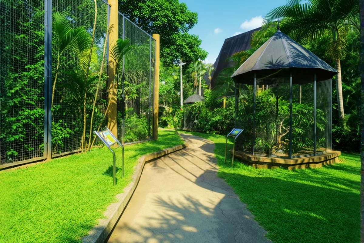 Bali Bird Park Shaded pathway through lush tropical garden at Bali Bird Park with palm trees, mesh aviaries, and black gazebo shelter
