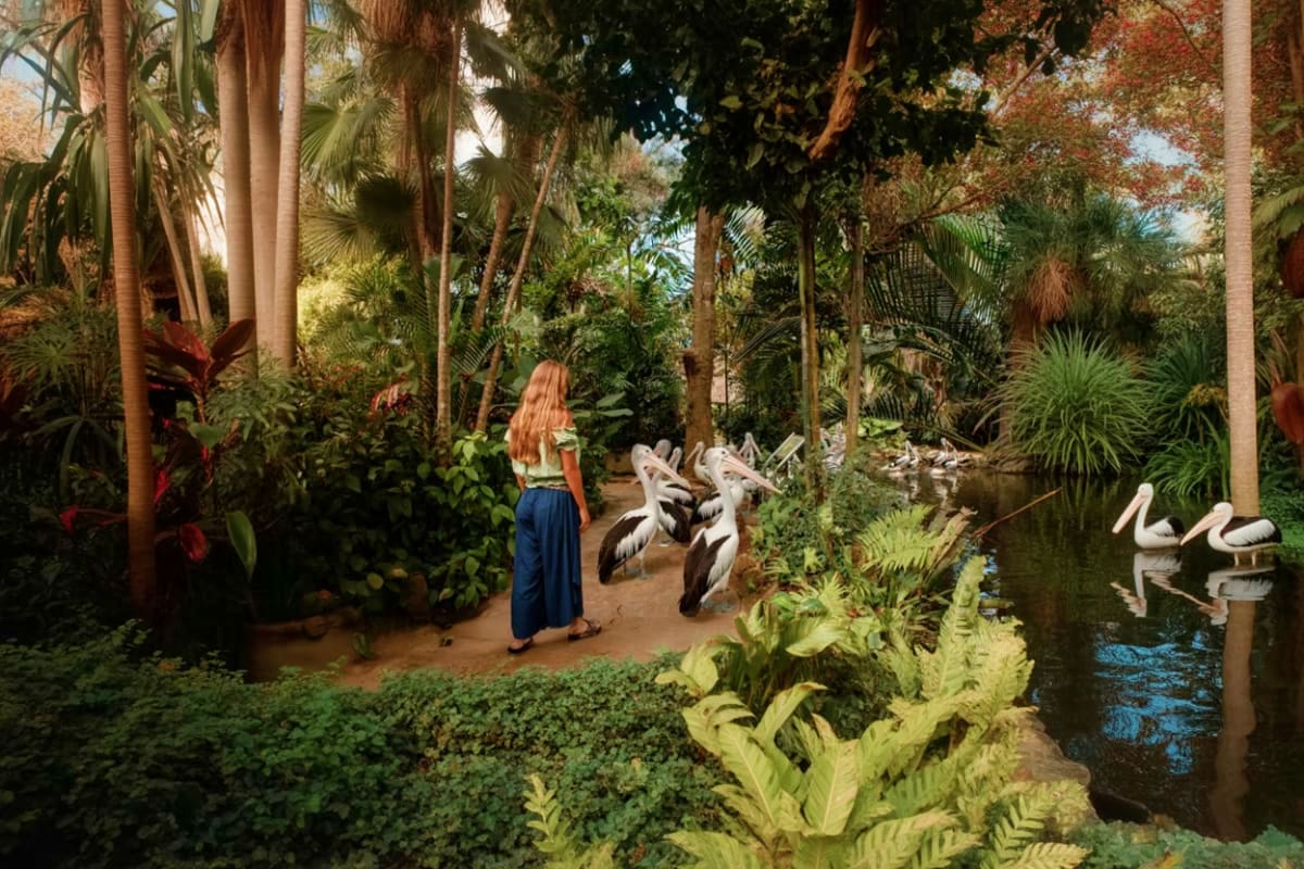 Bali Bird Park Woman walking along tropical garden pathway with pelicans and palm trees at Bali Bird Park