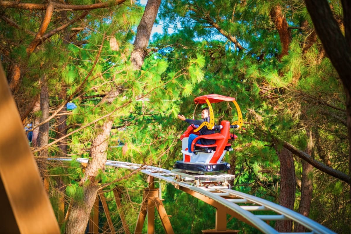 Red and blue roller coaster car on track through dense pine forest canopy at Sky Ranch Baguio theme park