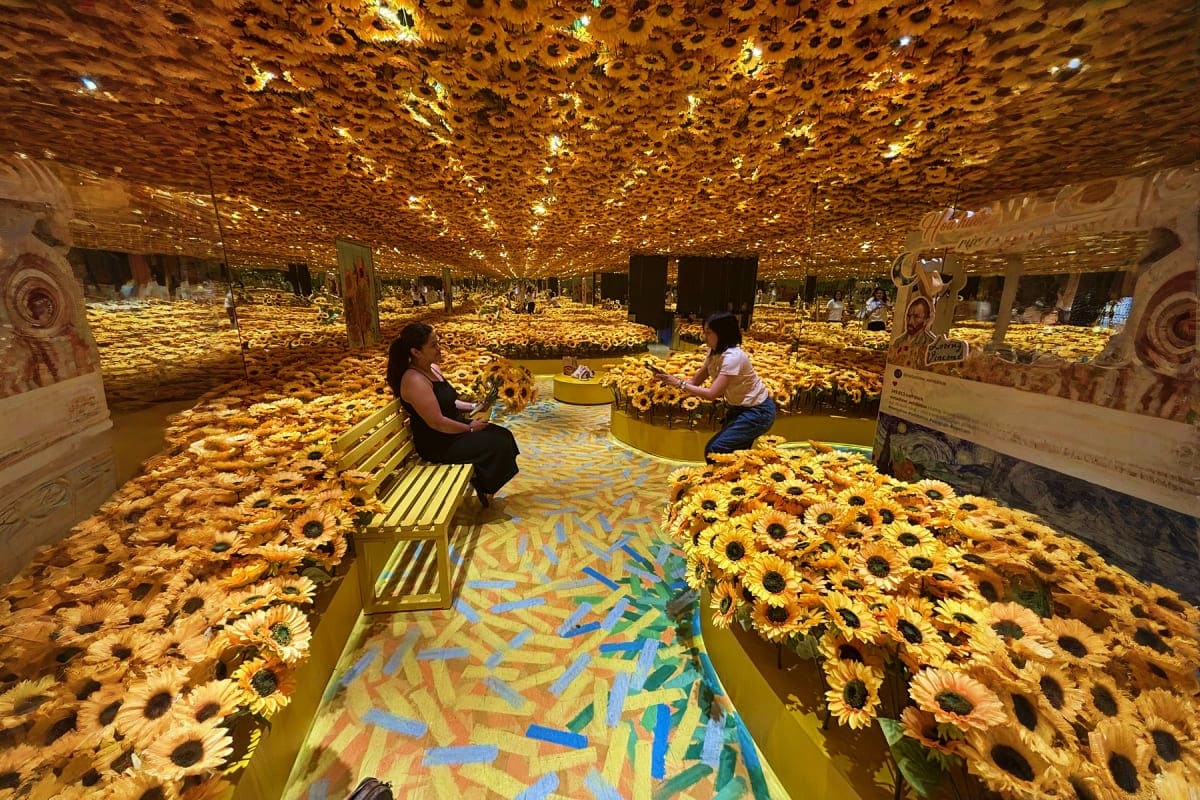 Metashow Exhibition Visitors sit on yellow benches inside an immersive art exhibition filled with thousands of golden sunflower projections cover