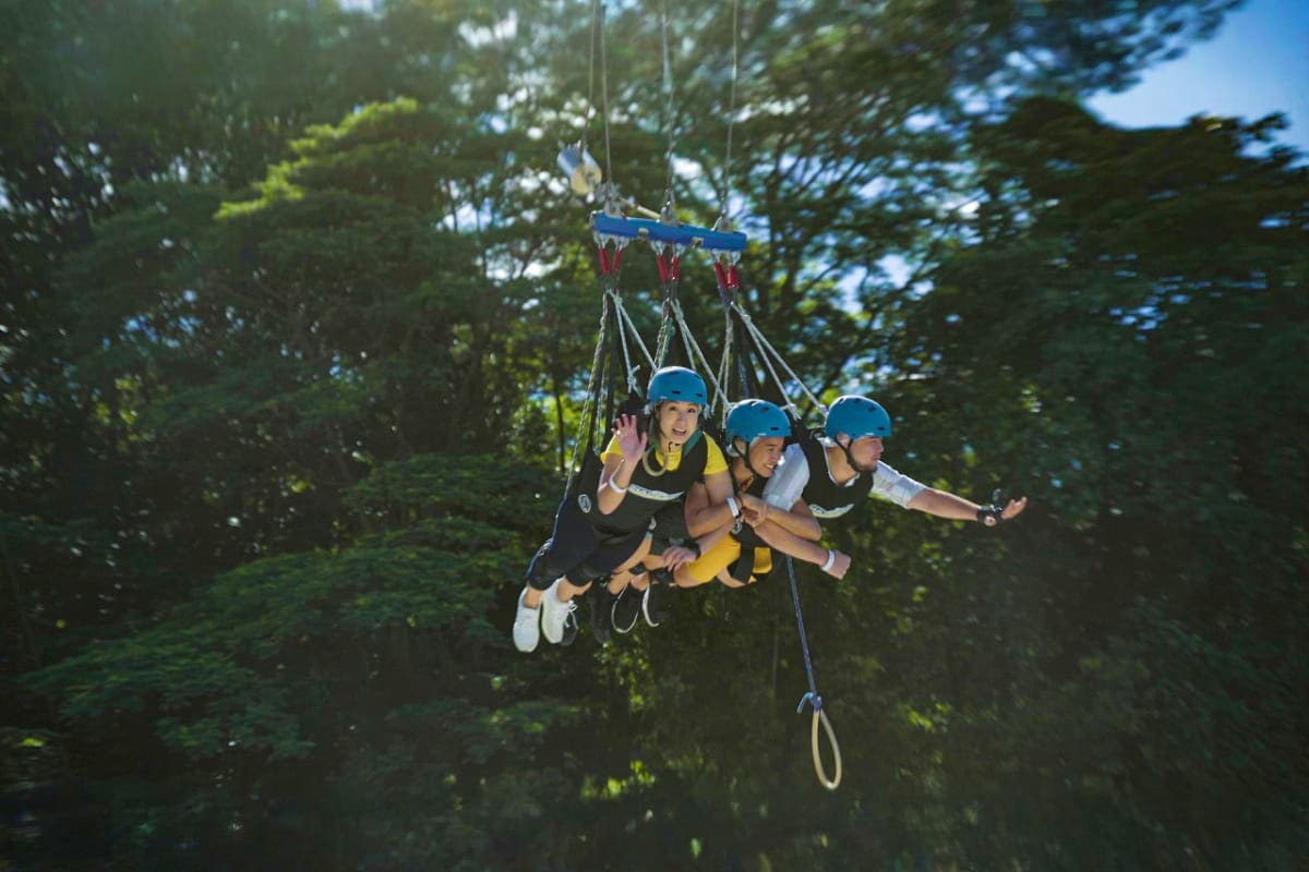 AJ Hackett Sentosa Three people on zip line harness soaring above forest canopy with outstretched arms at AJ Hackett Sentosa adventure park