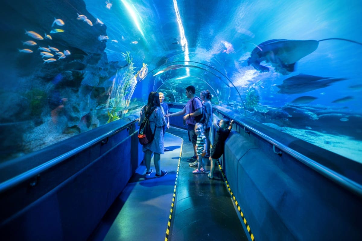 Visitors walking through an underwater tunnel at Aquaria KLCC with sharks and tropical fish swimming overhead in blue water