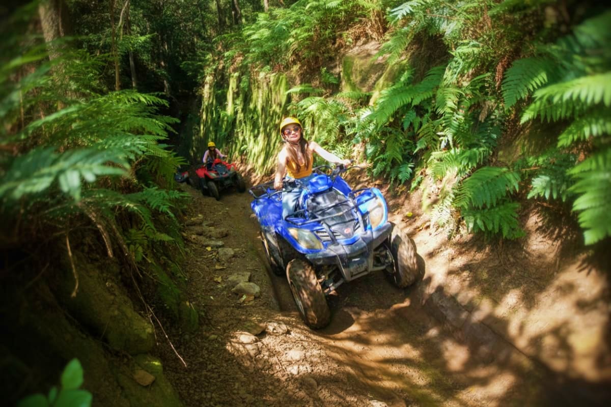 Bali ATV Tour Two riders on blue and red ATVs driving through a lush, moss-covered forest trail surrounded by fern vegetation in Bali