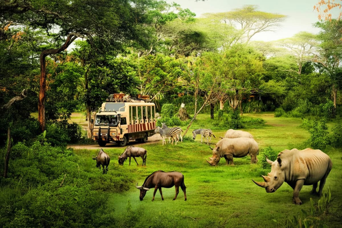 Safari tour vehicle with tourists observing zebras, wildebeest, and rhinos grazing in grassy wildlife park landscape