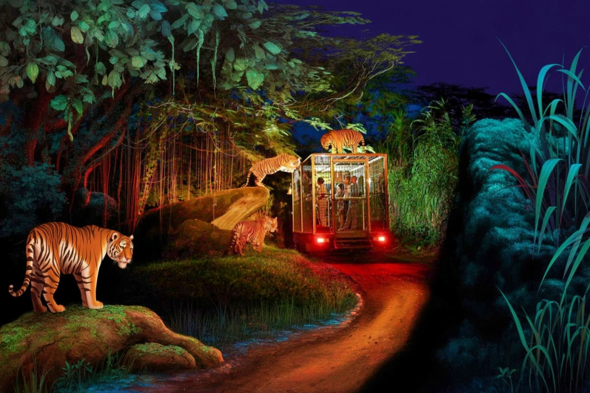 Bali Safari Park Tiger safari night drive at Bali Safari Park with tourists in protective cage viewing multiple tigers in illuminated jungle h