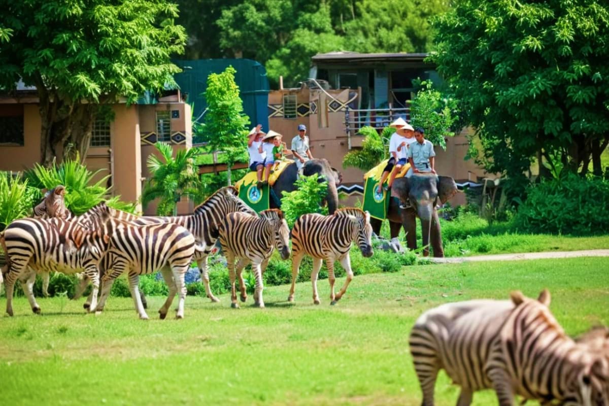 Tourists riding elephants and zebras at Bali Safari Park with handlers, surrounded by animals and green landscape