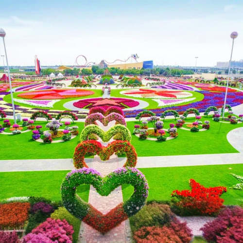 Aerial view of Dubai Butterfly Garden with colorful flower beds arranged in heart shapes and patterns, green lawns, and amuse