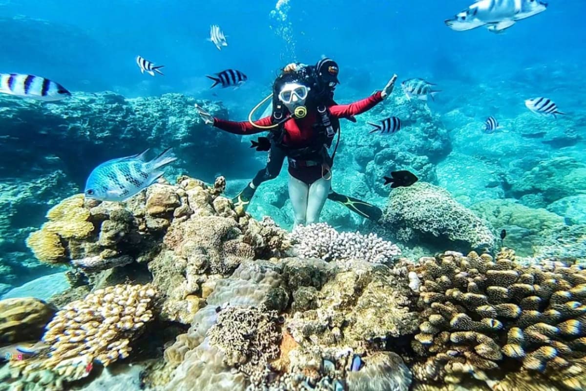 Scuba diver in red wetsuit exploring coral reef with striped tropical fish swimming nearby at Cham Island