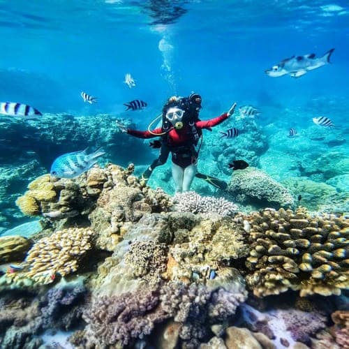 Scuba diver exploring colorful coral reef with tropical fish swimming in clear blue ocean water