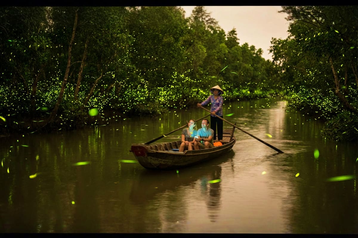 Combo tour of Kuala Lumpur City with Batu Caves and Fireflies Trip Traditional wooden boat navigating through mangrove forest at night with glowing fireflies surrounding the vegetation and wat
