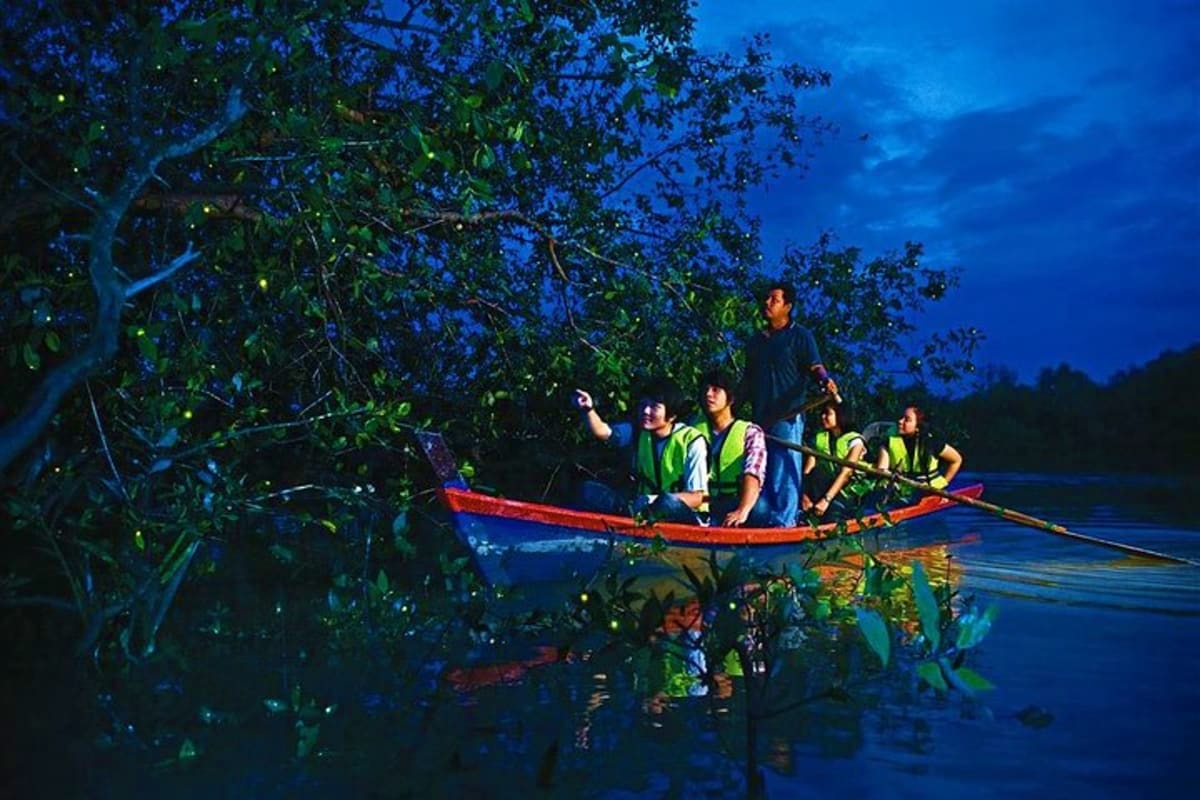 Group of tourists in a boat among glowing fireflies and mangrove trees during a nighttime river tour at dusk