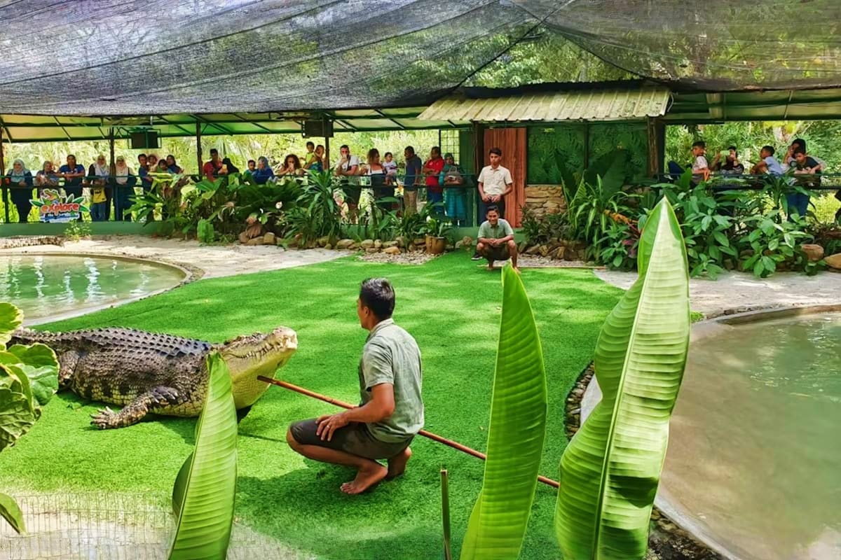 Zookeeper demonstrating crocodile handling at Crocodile Adventureland Langkawi with spectators watching from covered viewing 