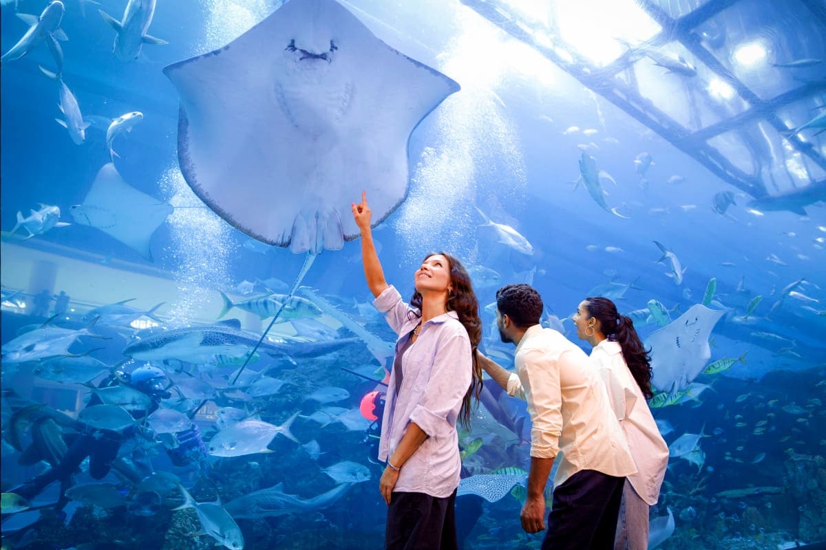 Visitors watching manta rays and tropical fish through underwater acrylic panel at Dubai Aquarium and Underwater Zoo
