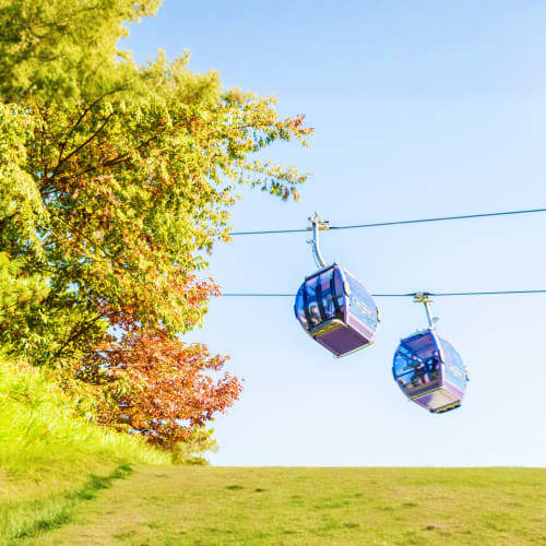 Blue cable car gondolas suspended over lush green hillside with autumn trees against clear sky