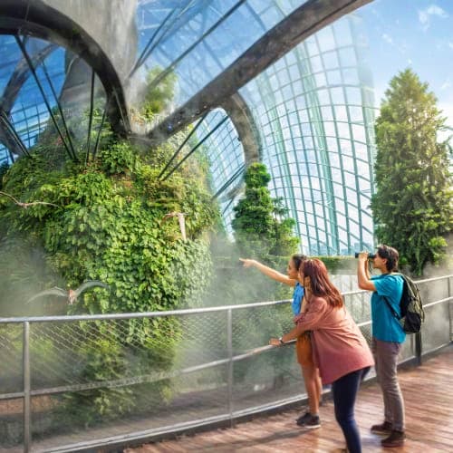 Two visitors observing lush green vines climbing the curved glass structure of a botanical conservatory dome with metal frame