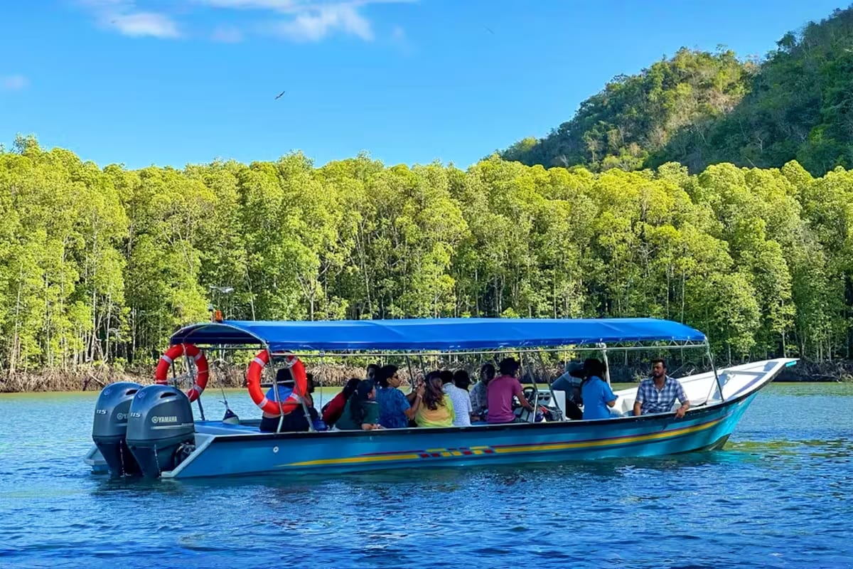 Langkawi Mangrove Tour with Shared Boat