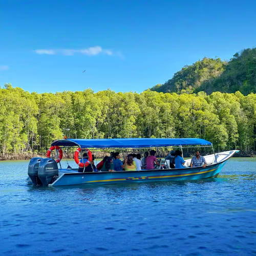 Langkawi Mangrove Tour with Shared Boat, From USD 44.05