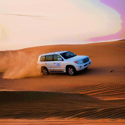 White SUV driving on sand dunes during desert safari at sunrise with golden light and dust clouds