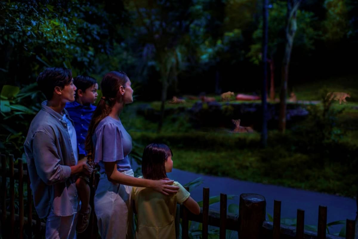 Family of four standing at wooden railing viewing wildlife at night safari park with illuminated forest backdrop